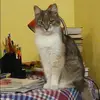 Отзыв от Кристина Семенова